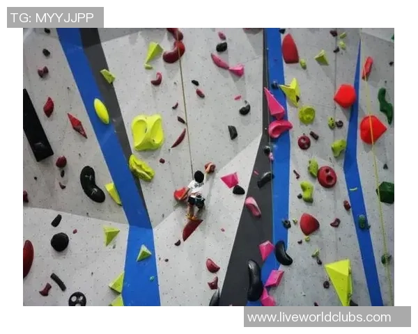 上海攀岩队的节奏变化与技术提升对比赛成绩的影响分析