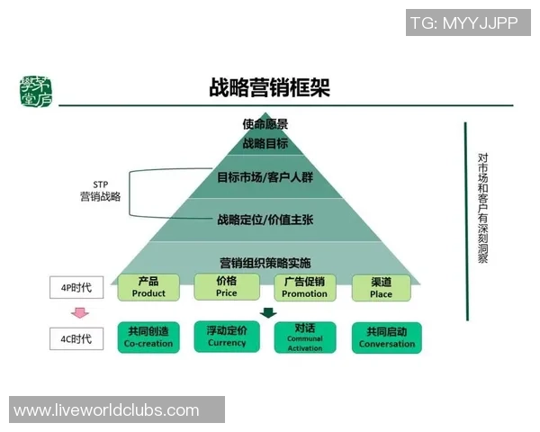 南京排球队运营解析：从管理模式到市场推广的全景观察